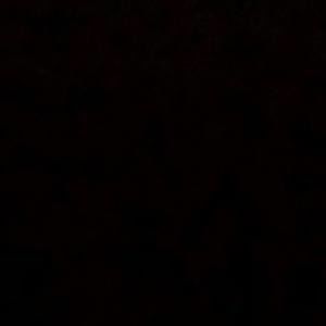 Meet your Posher, Damon